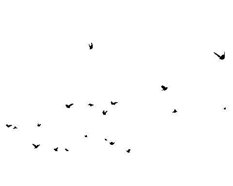 giphy 1 1