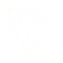 flower bouquet 1